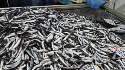 Hamside G&uuml;rcistan umutları boşa &ccedil;ıktı: Buzhane satılıyor