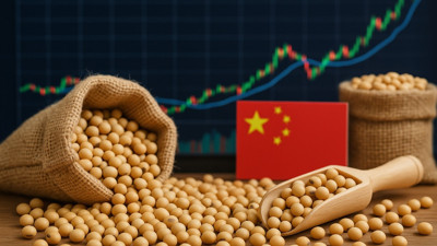 Çin talebiyle soya fasulyesi 15 ayın zirvesinde