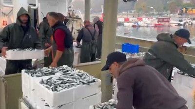 Marmara'da bereketli av: Balıkçılar iki bin kasa balıkla döndü
