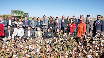 GAP Bölgesi’nde ‘Better Cotton’ üretim alanları genişliyor