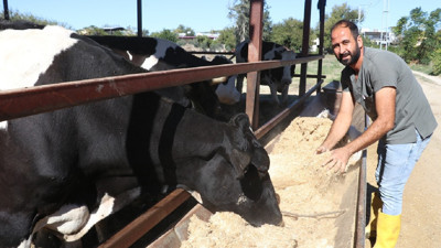 e-Devlet'ten başvuru yaptı, çiftlik sahibi oldu