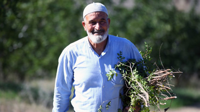 49 yıllığına kiraladı, bu yıl 7 ton ürün elde etti
