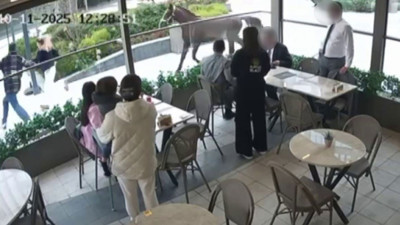 Ümraniye’de başıboş at panik yarattı: Vatandaşları dakikalarca kovaladı