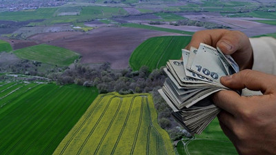 Arsa ve tarlada fiyat artışı yavaşladı: İşte değerin en çok arttığı ve azaldığı iller…