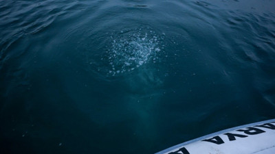 Sapanca Gölü'nde görülen kabarcıklar sosyal medyada endişe yarattı! Deprem habercisi mi?