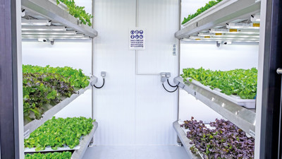 Geleceğin çiftçileri CEO’lar olacak