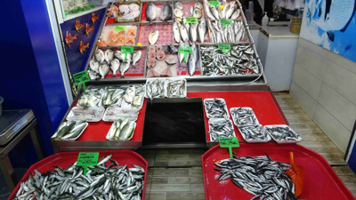 Hamside rekor av baskısı! Piyasa talebe yetişemiyor