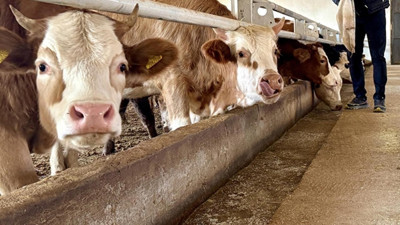 Et fiyatlarındaki artış üreticiye yansımıyor