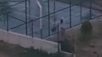 Ankara'daki pitbull dehşetinde yeni gelişme: O görüntüler ortaya çıktı