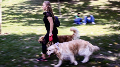 TÜİK duyurdu: Kasımda fiyatı en çok artan ürün belli oldu!