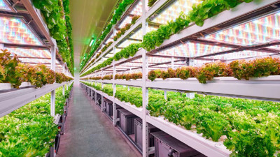 Dikey tarımda Türkiye-Çin iş birliği: Ergofarm ve 4D-Bios'tan stratejik ortaklık