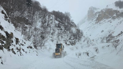 Artvin'de çığ düştü: Üç çoban aranıyor