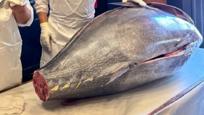 Dev balığa servet &ouml;deyen restoran sahibi: Zam yok, m&uuml;şterilerime eski fiyattan satacağım