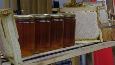 Kilosu dudak u&ccedil;uklatıyor: D&uuml;nyanın en pahalı balı olarak Guinness&rsquo;e girdi