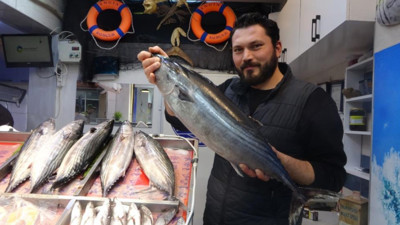 Çanakkale Boğazı’nda torik akımı gecikmeli geldi: Kilosu 700 liradan tezgahlarda