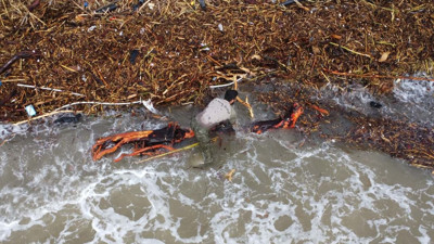 Sel sonrası 'milyonluk' yazlıkların önünde 'ekmek' mücadelesi