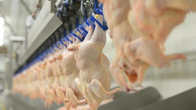 Son dakika: Tavuk ihracatı durduruldu