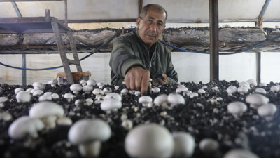 Dolar ve altınlarını bozdurup kurdu, şimdi tüm Akdeniz'e satıyor