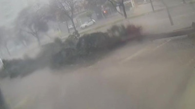 Adana'da fırtına dev ağaçları kökünden söktü: O anlar kamerada