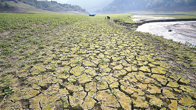Gıda arzında &lsquo;okyanus&rsquo; kalkanı
