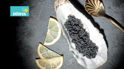 Ejderha ağzının tadını biliyor