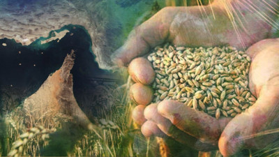 G&uuml;bre krizi kapıda: İran savaşı gıda fiyatlarını vuracak