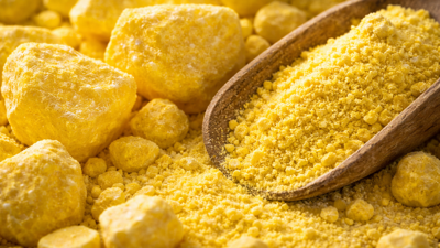 G&uuml;bre &uuml;retimi i&ccedil;in kritik adım! Rusya'dan k&uuml;k&uuml;rt yasağına uzatma kararı