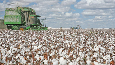 Tekstil sekt&ouml;r&uuml; "H&uuml;rm&uuml;z gerilimi" nedeniyle sentetik yerine doğal pamuğa y&ouml;neldi