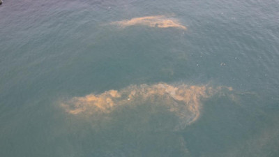 Marmara’da tedirgin eden görüntü: Deniz renk değiştirdi