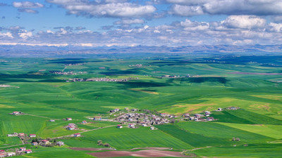 Kuraklık bitti, umut b&uuml;y&uuml;d&uuml;: Buğdayda verim artışı bekleniyor