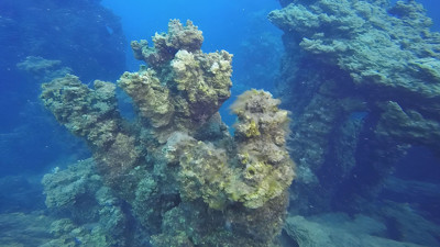 Van G&ouml;l&uuml;&rsquo;n&uuml;n &lsquo;su altı peribacaları&rsquo; Guinness yolunda