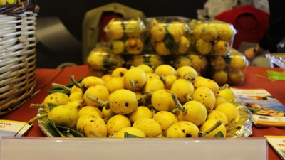 T&uuml;rkiye&rsquo;den AB&rsquo;de coğrafi işaret atağı: 46 &uuml;r&uuml;n tescillendi