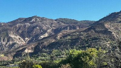 Buldan’daki yangının izleri silinmedi: Dağlar hâlâ siyaha bürünmüş durumda
