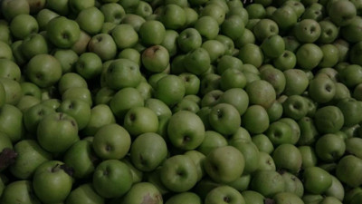 Isparta’da 50 bin ton elma depolarda kaldı: Bir ay içinde tüketilmeli