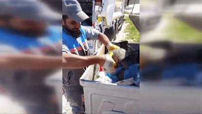 Çöp konteynerinde ölüme terk edilen kaplumbağayı kurtardılar