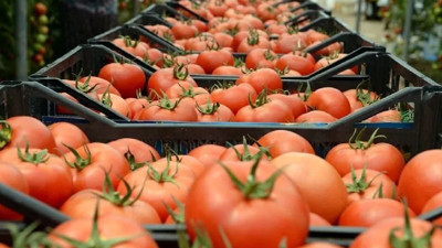 &Ccedil;in domatesi tartışma yarattı: Etiket başka, i&ccedil;erik başka