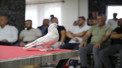 Bu kuşlar bildiğiniz gibi değil... 100 bin liradan başlıyor, 5 milyona kadar &ccedil;ıkıyor!