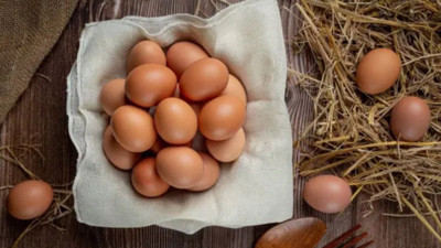19 milyon yumurta geri &ccedil;ağırılmıştı: FDA en y&uuml;ksek seviyeye &ccedil;ıkardı
