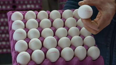Avrupa'da yumurta alarmı: 306 kişi hastalandı, 8 &uuml;lkede geri &ccedil;ağırma başladı