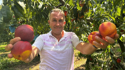 Ağustosta tarlada 10 liraya kadar d&uuml;şm&uuml;şt&uuml;: Dalında 40 lirayı g&ouml;rd&uuml;