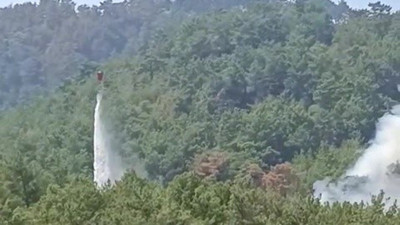 Soğutma çalışmalarının sürdüğü ormanlık alanda yeniden yangın