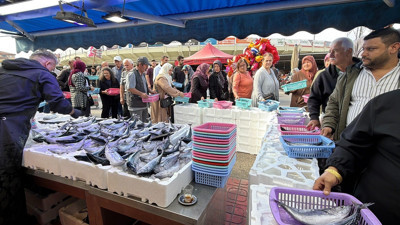 Bolu'da palamut ve hamsiye yoğun ilgi: Tezgahlarda metrelerce kuyruk oluştu