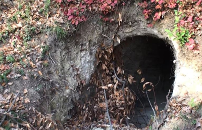 Rüyasında define gören anne, oğluyla tünel kazarken suçüstü yakalandı