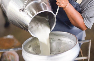 Süt ürünleri ihracatı 400 milyon dolara ulaştı