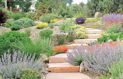 Kuraklık peyzaj anlayışını değiştiriyor