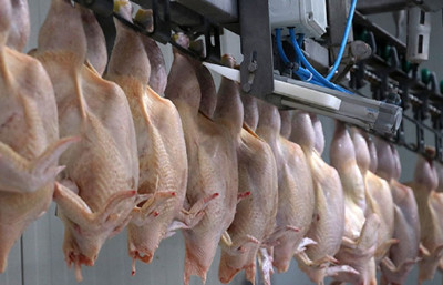 Beyaz et sektöründeki 13 firmaya milyarlık ceza kesildi!