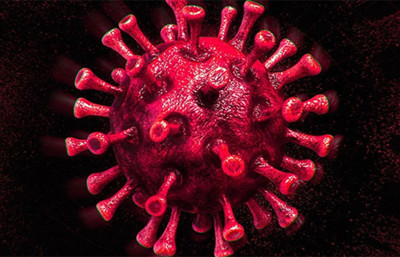 Kıbrıs’tan dünya bilim literatürüne: Yeni virüs türü 'Alasiavirus' keşfedildi