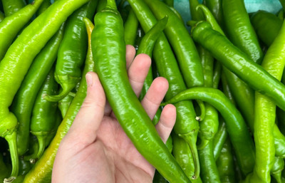 Türkiye’nin biber ihracatında lider Batı Akdeniz