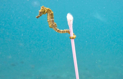 Mersin’de mikroplastik alarmı: Kirliliğin yüzde 90’ı karadan geliyor