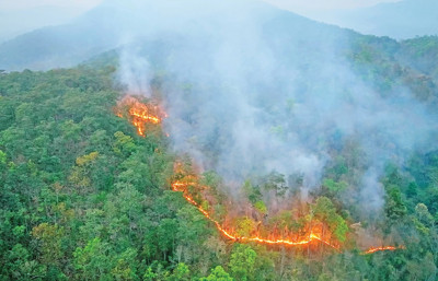 Amazon’dan Almanya kadar karbon salımı: Karbonun yeni kaynağı yangınlar